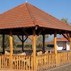 Atlantisz Pihenőpark és Halásztanya - 45.