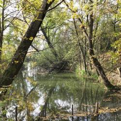 Atlantisz Pihenőpark és Halásztanya - 31.