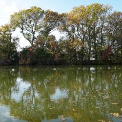 Atlantisz Pihenőpark és Halásztanya - 30.