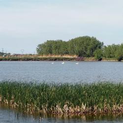 Atlantisz Pihenőpark és Halásztanya - 16.