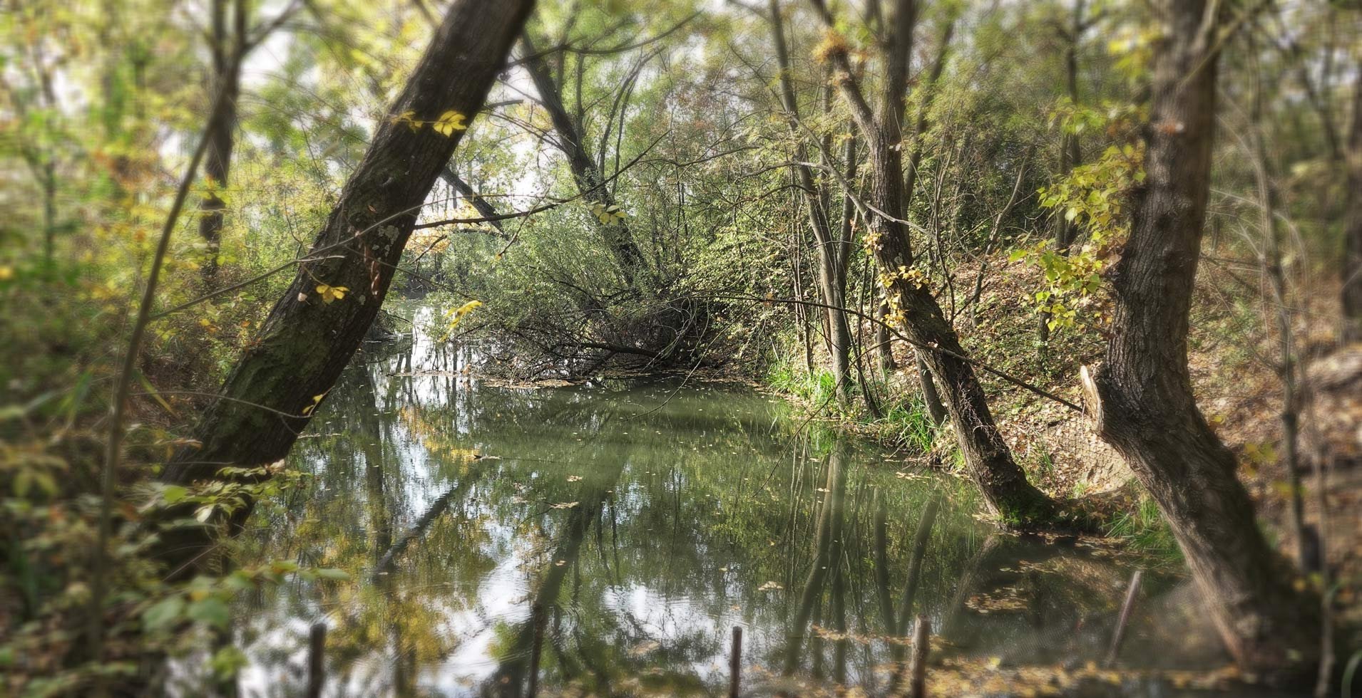 Atlantisz Pihenőpark és Halásztanya