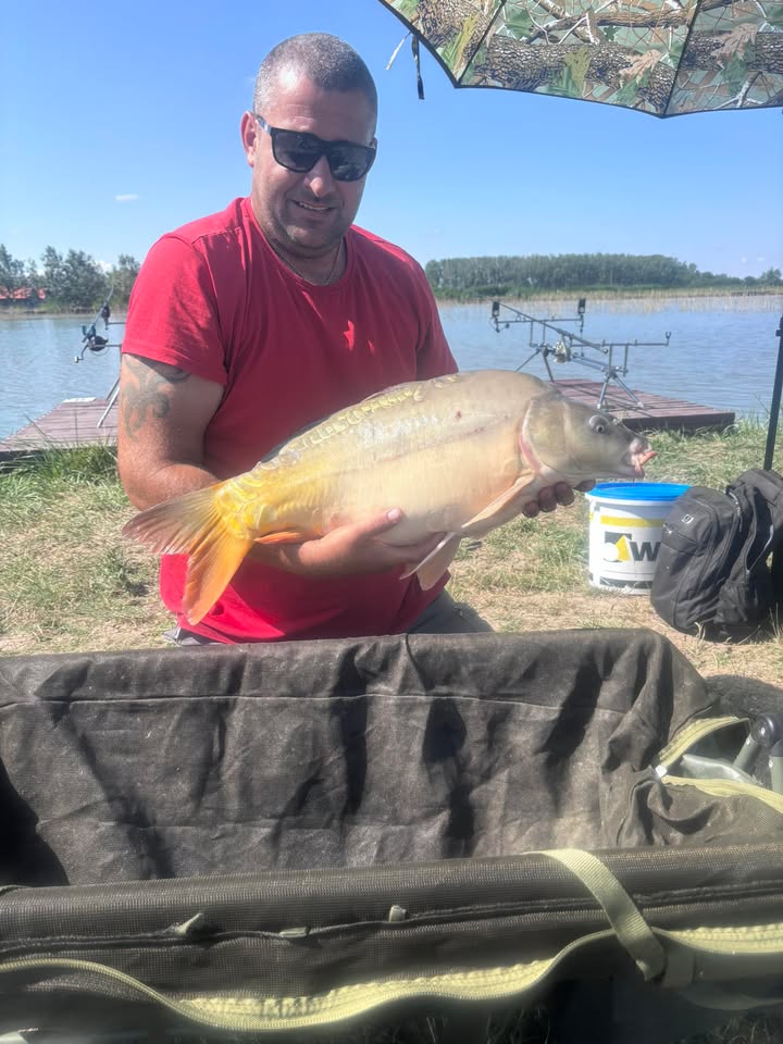 519429353_1264839308527486_1737226351781769962_n