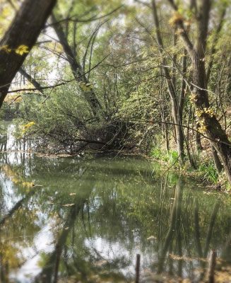 atlantisz-pihenopark-es-halasztanya_9